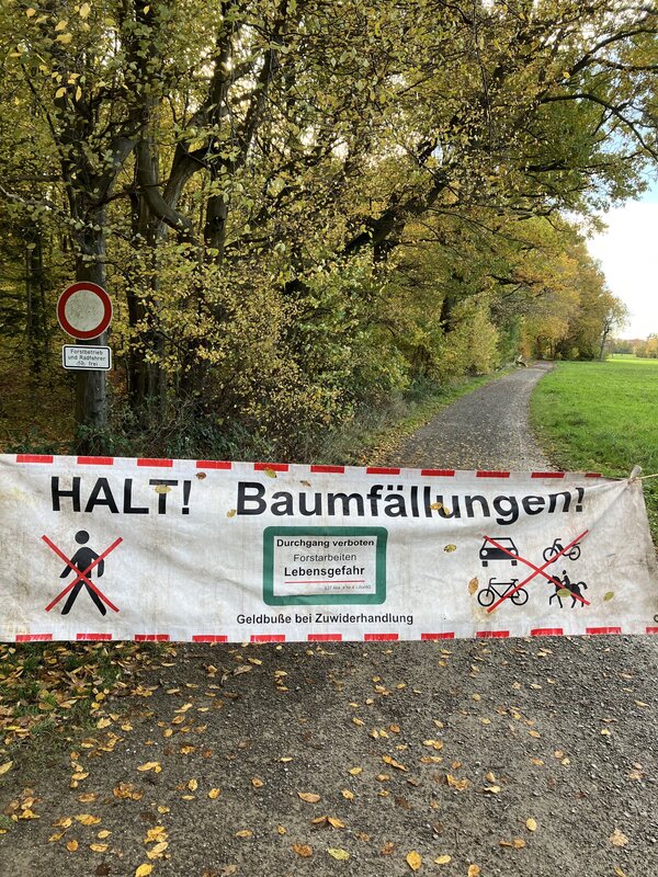 Bild vergr&ouml;&szlig;ern: Ein Weg ab Waldrand ist mit einem Forst-Absperrbanner abgesperrt, um den Verkehr zu stoppen, da in dem angrenzenden Wald Holzerntearbeiten stattfinden.