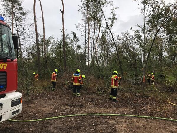 Bild vergrößern: Die Gefahr von Waldbränden ist in diesem Jahr schon sehr früh gestiegen. Bei Waldbrandübungen, wie hier die Freiwillige Feuerwehr von Graben-Neudorf, trainieren Einsatzkräfte den Ernstfall.
