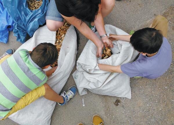 Bild vergrößern: Kinder, die zusammen Korken sammeln