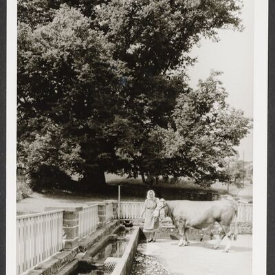 Bild vergrößern: Viehtränke um 1960